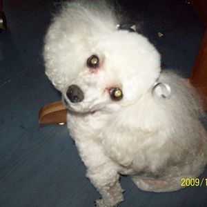 Meet your Posher, Aggie